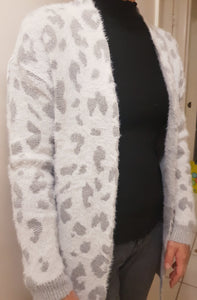Leo Cardi