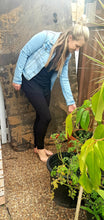 Load image into Gallery viewer, Perri Ponte Pants