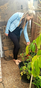 Perri Ponte Pants